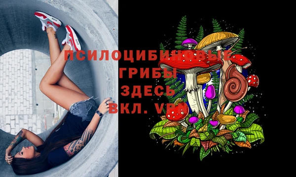 марки lsd Горнозаводск